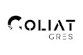 Goliat